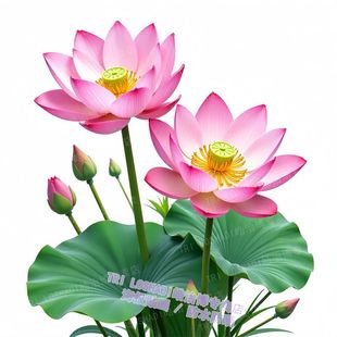 和和美美荷花图家居贴画柜门冰箱装饰自粘贴纸卫生间贴画防水净秽