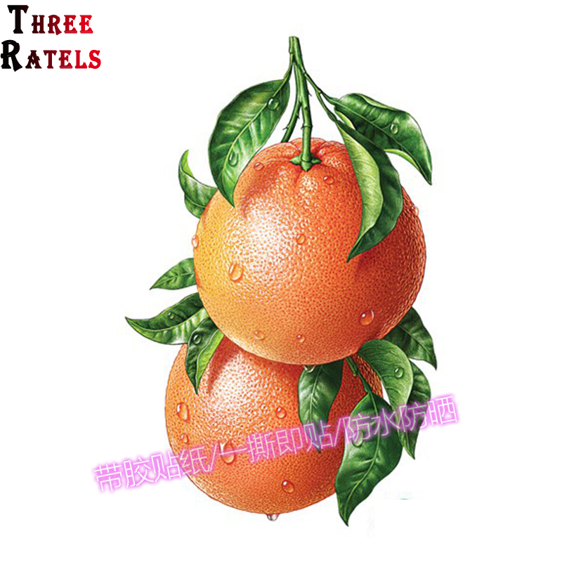 苹果桔子水果图案贴纸墙上装饰冰箱瓷砖贴幼儿园创意防水自粘墙贴