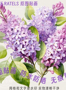 紫丁香花紫色花卉图像贴画餐厅贴纸宠物车贴门贴墙上冰箱贴装饰