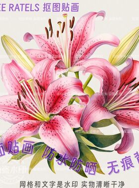 星空百合花剪贴画花卉图像贴纸餐厅房间车贴柜门贴墙上冰箱贴装饰