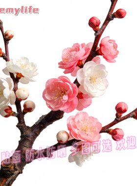 红色梅花平面自粘贴画喜庆防水防晒电脑冰箱洗衣机玻璃门贴车身贴