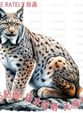 雄伟的山猫野猫图案贴画车贴墙贴
