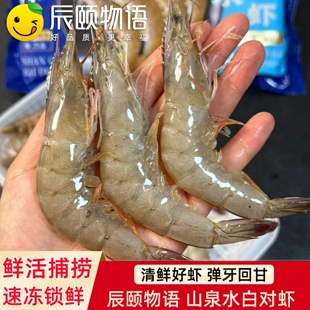 辰颐物语严选山泉水白对虾南美白虾基围虾海虾对虾类冻虾现捞海鲜