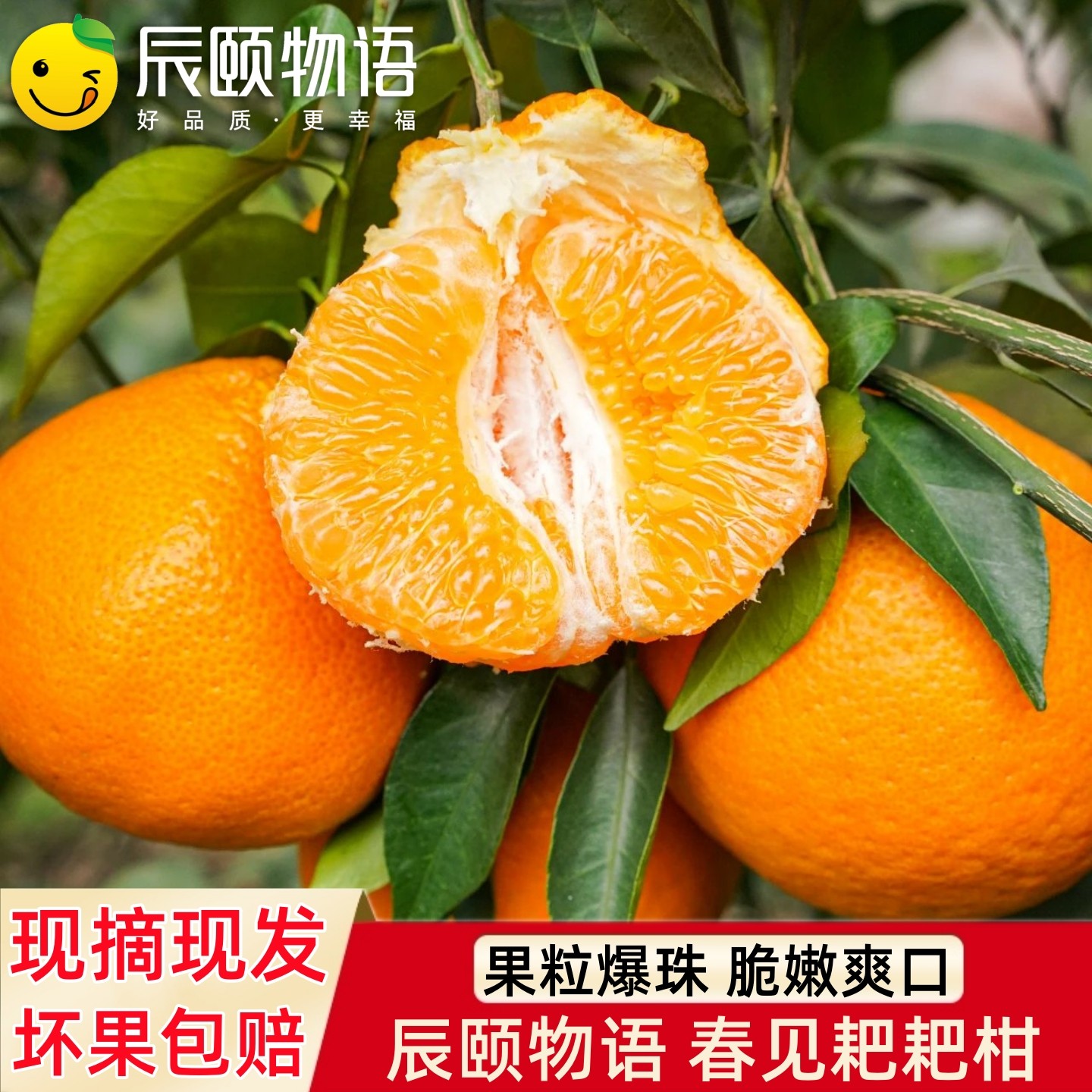 辰颐物语春见耙耙柑现摘桔子应季脆甜橘子无籽桔子孕妇新鲜水果,水产肉类/新鲜蔬果/熟食,桔子,淘宝优惠券,粉丝福利购,淘宝优惠卷