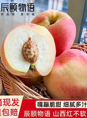 辰颐物语红不软脆桃子非鹰嘴桃子