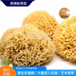 精选耐用耐搓洗原色蜂窝绵大童成人洗澡沐浴棉地中海进口天然海绵