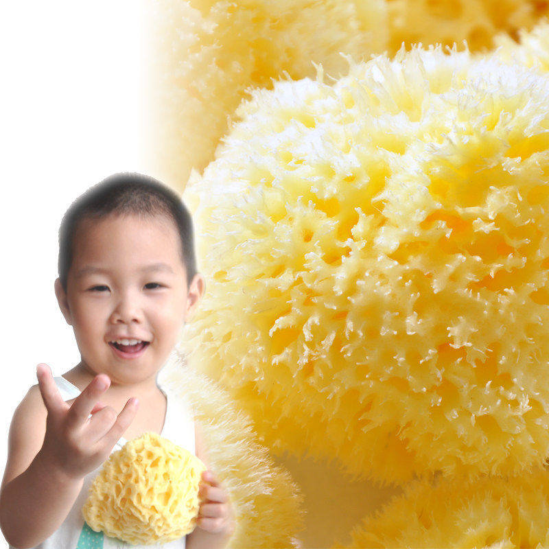 S级宝宝洗澡 希腊进口新生婴幼儿童洗脸 纯天然海藻海绵沐浴棉