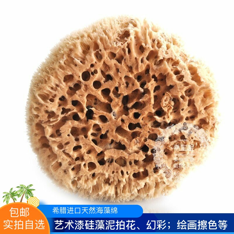 希腊纯天然海藻绵地中海蜂窝绵 装饰收藏画画硅藻泥艺术漆\非浴刷