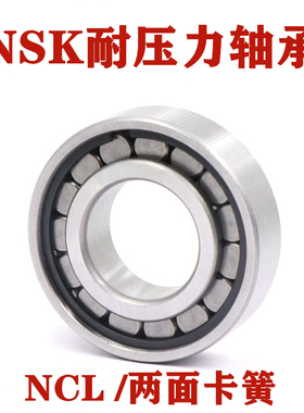 无保持器满滚子轴承 E102110 E102109 E102108 E102107 E102106