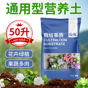 营养土养花种菜通用专用有机种植土多肉花卉植物通用型家用花土壤