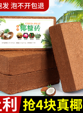 椰砖营养土通用型养花种菜脱盐花土耶砖大块乌龟爬宠垫材盆栽土壤