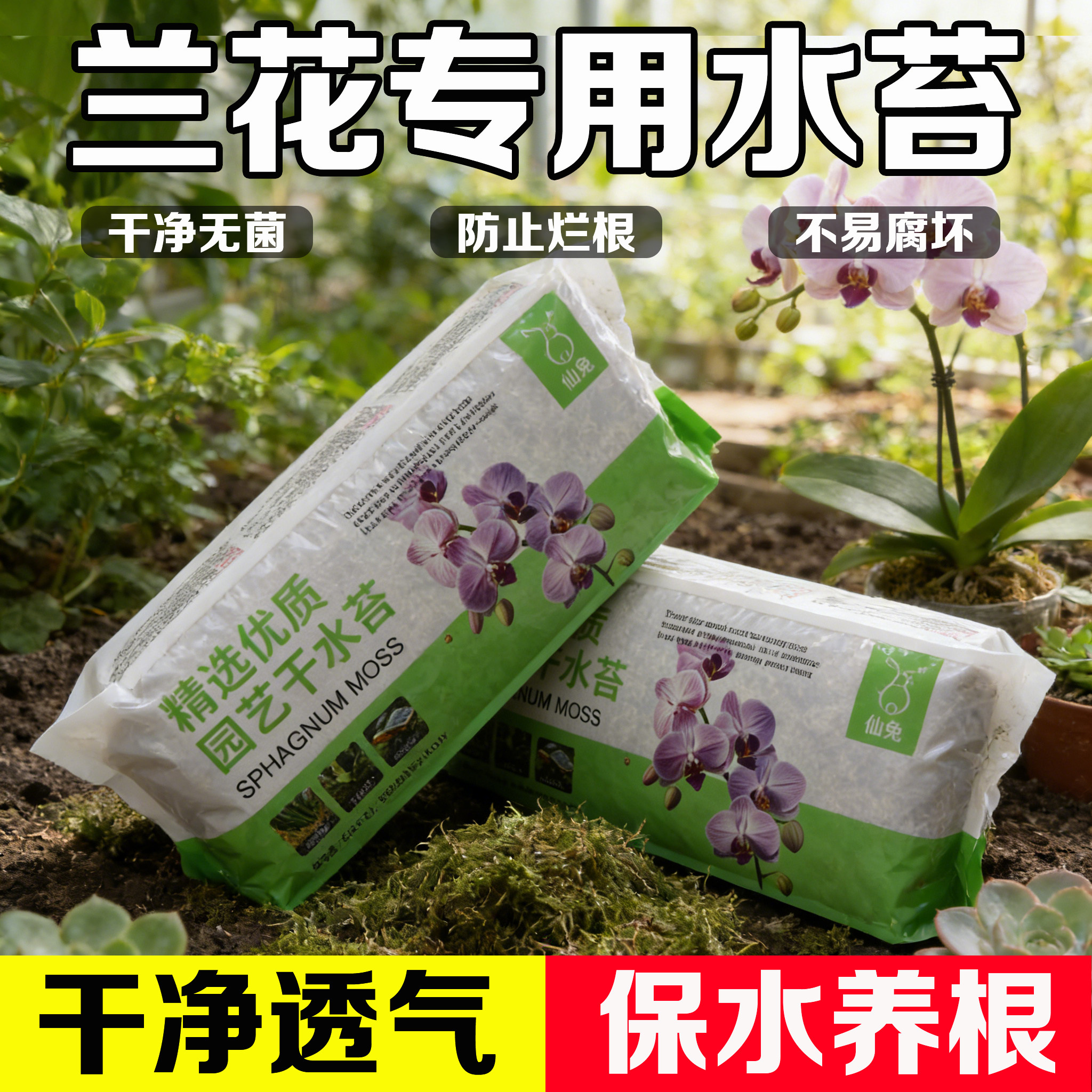 蝴蝶兰专用水苔干苔藓乌龟冬眠垫材天然石斛种植介质兰花栽培基质