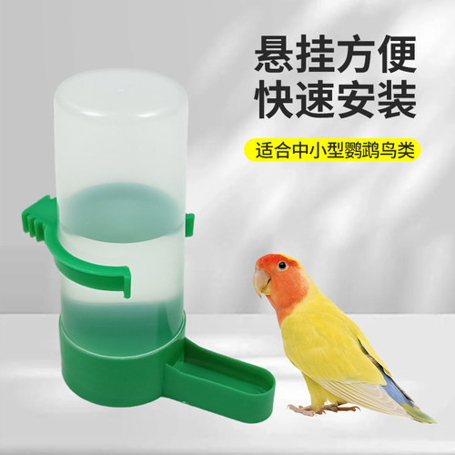 岩梦鸟用饮水器自动喂食喂水