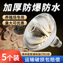 保温灯养殖场专用取暖灯泡猪场小猪用保温灯猪加热灯小鸡育雏烤灯