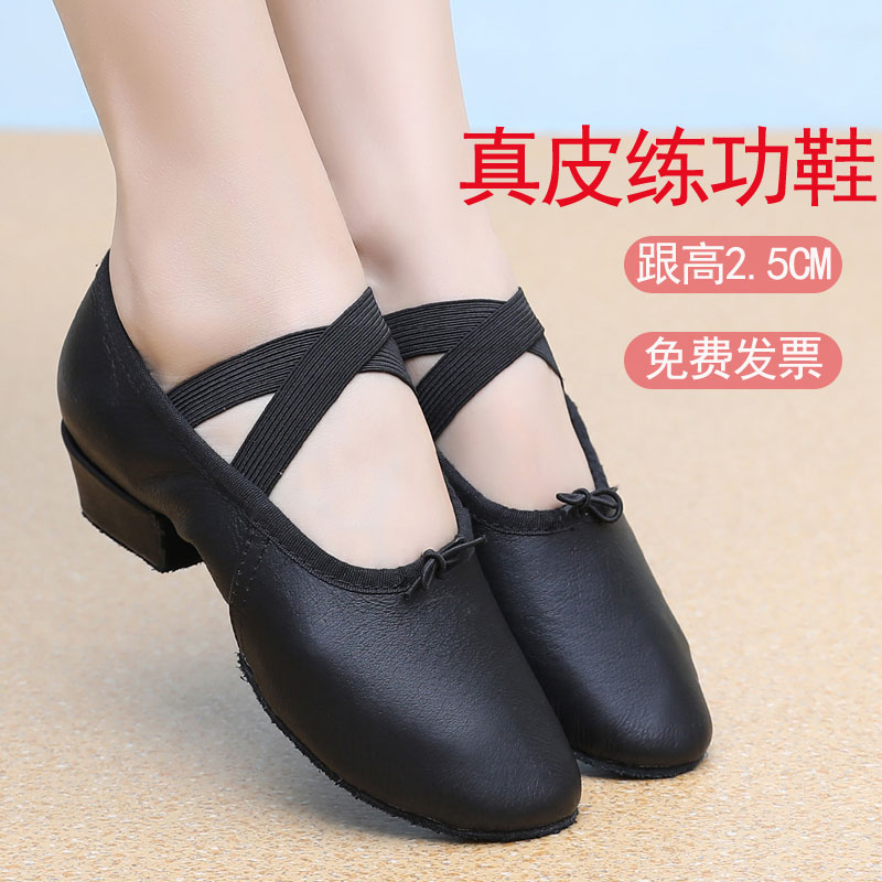 舞诗雅教师鞋女帆布耐磨舞蹈鞋