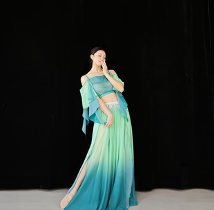 新款肚皮舞网纱渐变古典舞演出服飘逸中国风艺考舞蹈服群舞表演服