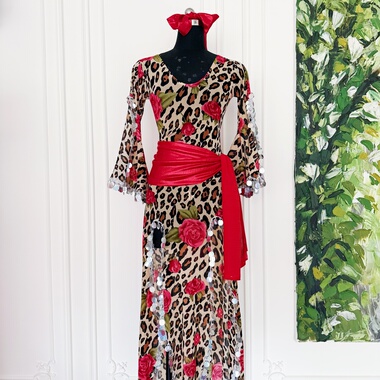 肚皮舞新款练功服练习服演出服民俗袍子balady shabby saidi定制