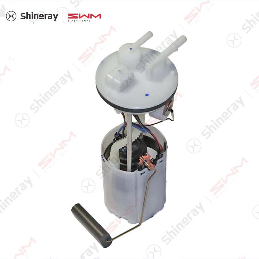 金卡S1S6新海狮小海狮金海狮