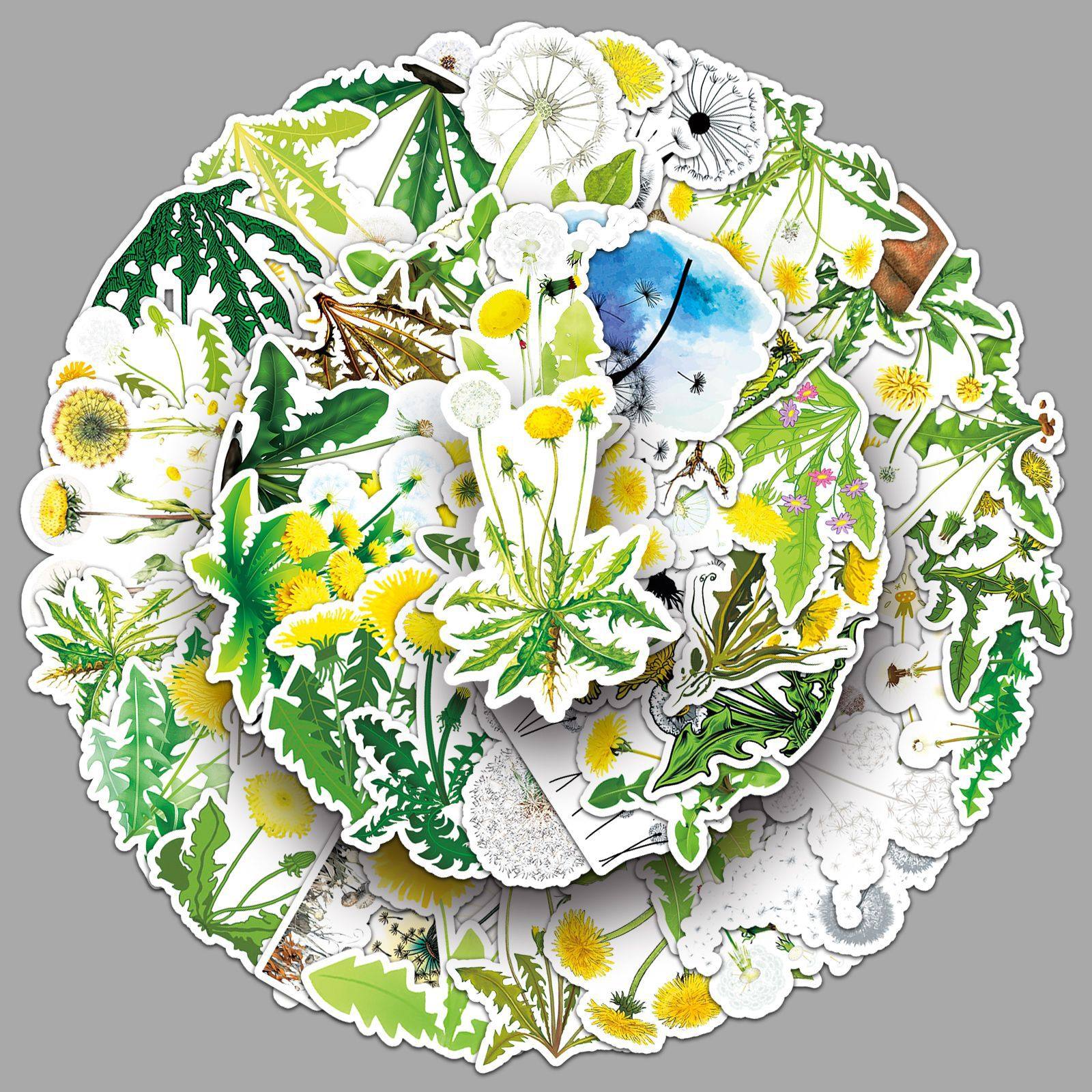 50张蒲公英贴纸小清新卡通植物花卉涂鸦防水装饰手帐咕卡电脑贴纸,文具电教/文化用品/商务用品,贴纸/立体贴纸,淘宝优惠券,粉丝福利购,淘宝优惠卷