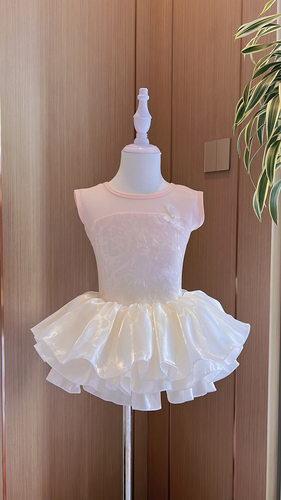 儿童舞蹈服女童夏季练功服芭蕾舞形体服中国舞考级体操服丝绒渐变