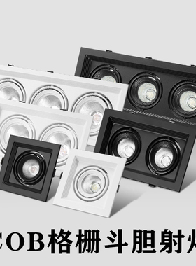 led射灯双头筒灯嵌入式长方形斗胆灯开孔10x20格栅三头cob天花灯