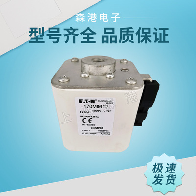 快速熔断器170M8556 8557 8600 8601 8602 8603 8604 保险丝熔芯