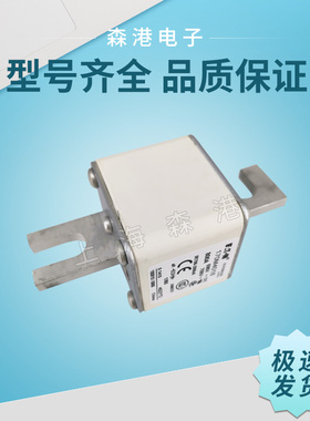 全新现货 170M4015，170M4018 ， 170M4019全系列巴斯曼熔断器