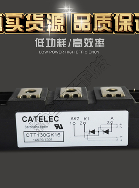 供应全新可控硅模块CTT130GK16  CTT165GK16