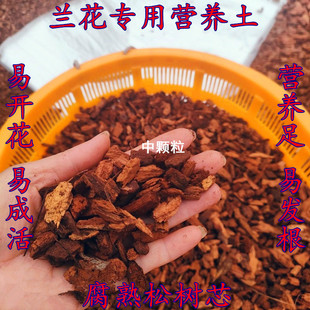 兰花专用土腐熟松树芯植料兰草蝴蝶兰兰花土颗粒高端松树芯种兰花
