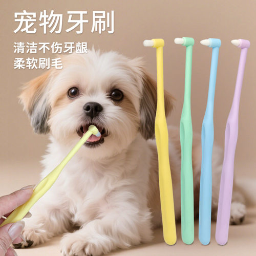 魔力崽宠物软毛平尖牙刷猫狗通用