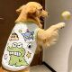 宠物狗狗衣服金毛防掉毛超萌卡通蜡笔小新亲肤背心大型犬拉布拉多