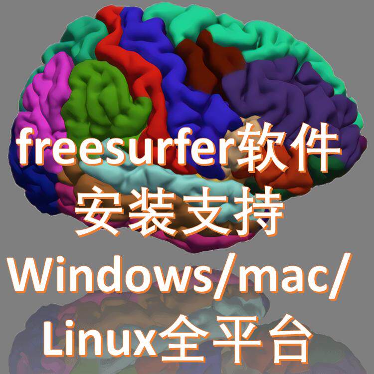 FreeSurfer脑成像分析软件MRI处理快速皮层分割脑结构神经科学