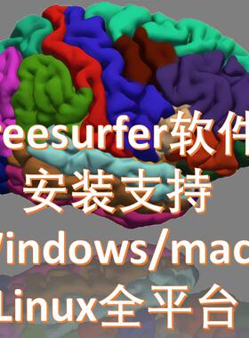 FreeSurfer脑成像分析软件MRI处理快速皮层分割脑结构神经科学