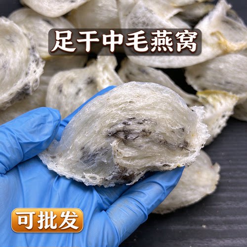 马来西亚中毛中轻毛毛燕