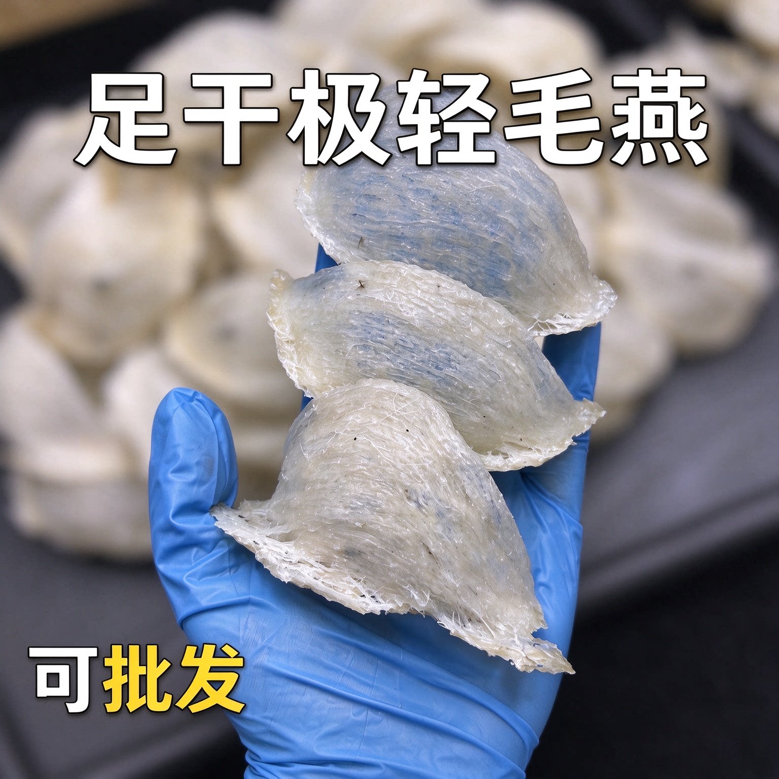马来西亚极轻毛燕盏 雨季足干毛燕窝 燕农直收原生态金丝燕原料