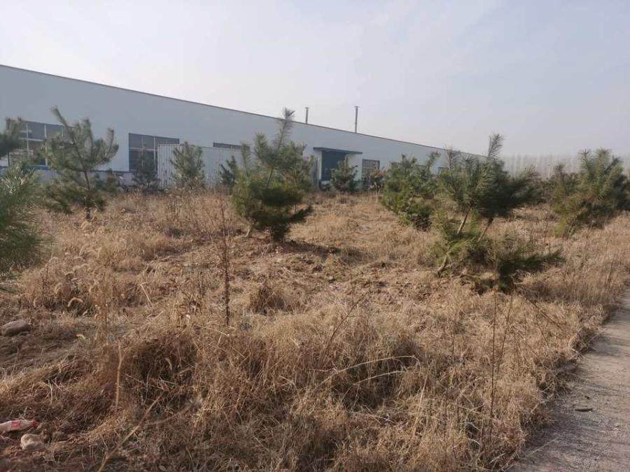 1月30日潍坊617号国有土地使用权、地上附属物及上述房产土地以北至北院墙的无证土地、房产、附属物及补充评估上述房产土地以西的无证土地及地上附属网络拍卖公告