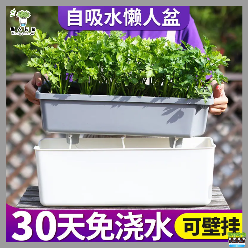 可壁挂阳台种菜盆蔬菜种植专用箱长方形自吸水室内草莓盆懒人花盆