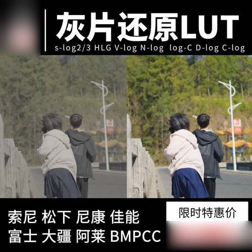 灰片还原lut索尼佳能大疆松下富士尼康阿莱HLGC-logD-Logslog123
