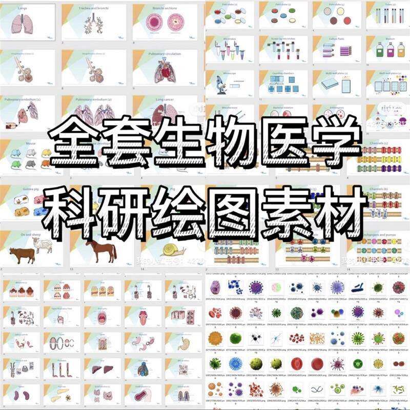 ppt科研绘图素材全套生物医学可编辑插图细胞流程图通路图模型
