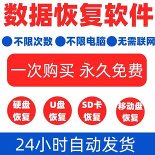 DiskGenius专业版媲美的数据恢复软件文件恢复工具专业版数据恢复