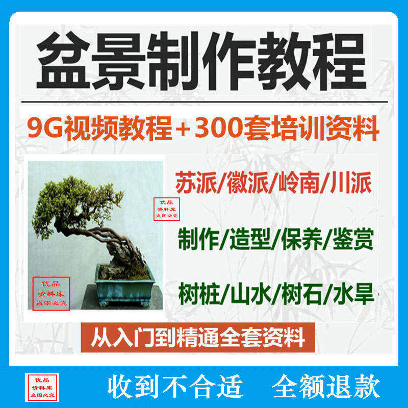 盆景制作技术视频教程岭南徽苏派工艺教学果树桩山水微型造型全套
