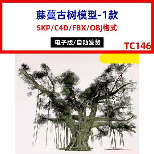 藤蔓缠绕的古树参天大树古木榕树园林景观植物SU模型C4D素材S351