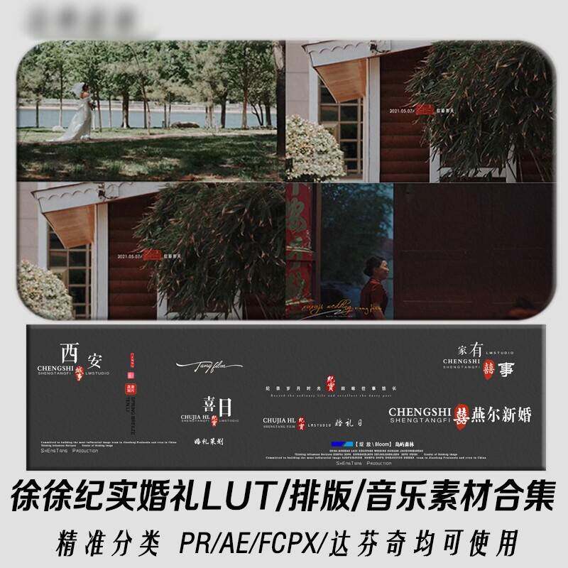 百款徐徐纪实纪实温情氛围婚礼跟拍LUT预设胶片色/调色PR滤镜排