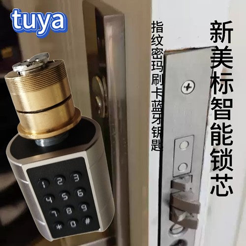 美标智能锁芯指纹密码刷卡蓝牙钥涂鸦假美标按压门智能锁无损替代