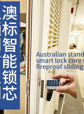 Australian standard graffiti Bluetooth smart lock core香上门