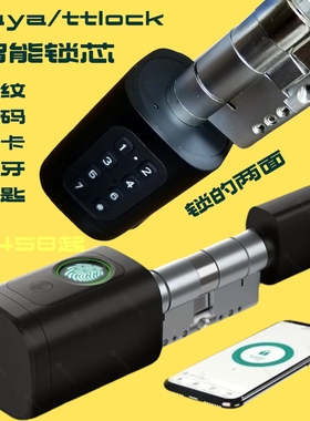 通用涂鸦蓝牙智能锁芯替换欧规国标锁芯防盗门锁芯app管理指纹锁