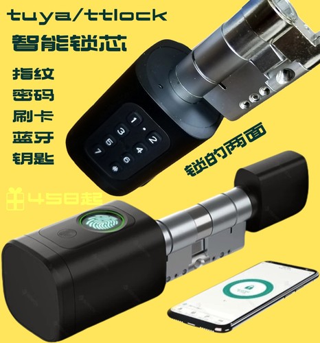 通用涂鸦蓝牙智能锁芯替换欧规国标锁芯防盗门锁芯app管理指纹锁