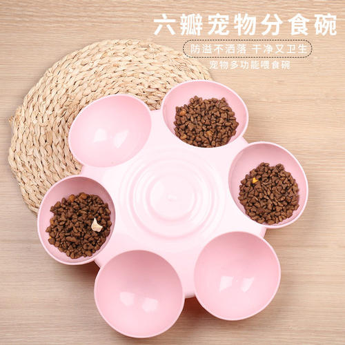 宠物用品亚马逊新款六格花瓣宠物碗 多宠分食猫碗 饮水喂食猫盆