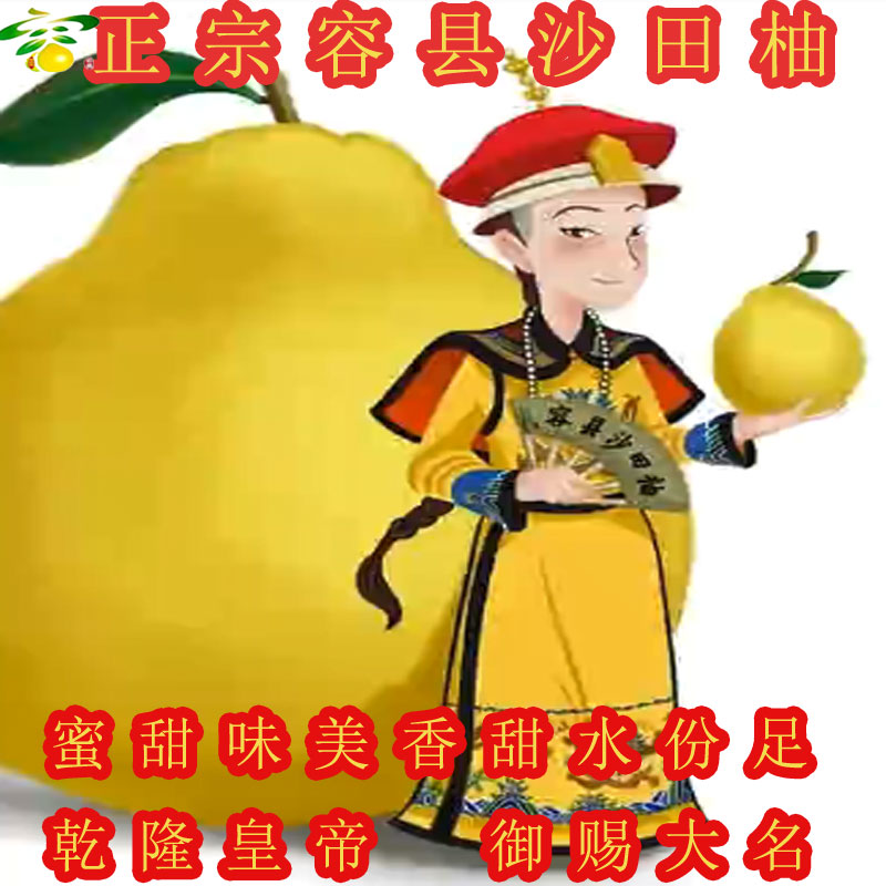 正宗容县沙田柚乾隆柚新鲜现发当季水份足水果广西特产纯甜柚子