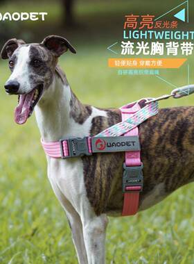 WAOPET新款狗绳狗狗牵引绳项圈項圈宠物用品外出透气大狗狗胸背带